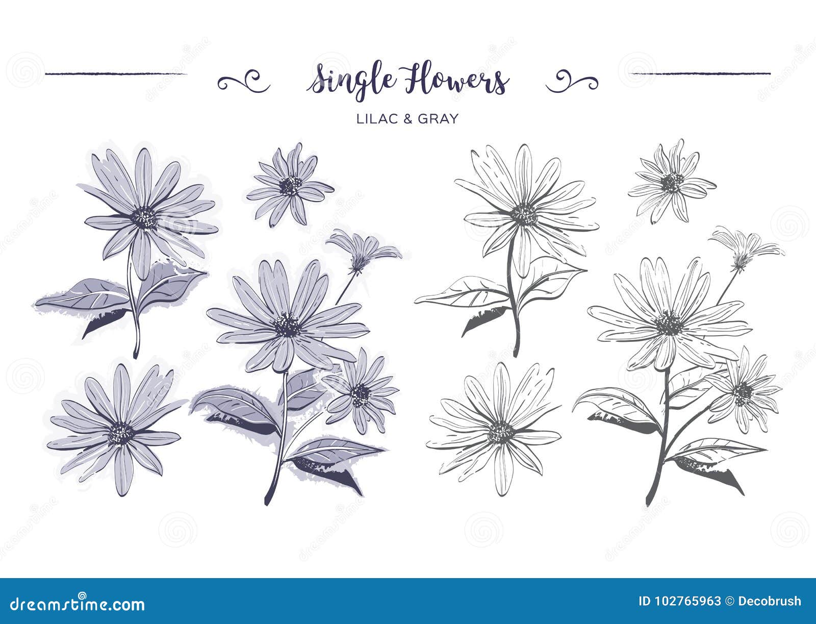 Hand drawn flowers sketch chamomiles daisies coloring page jerusalem artichoke flower botanical floral stock vector