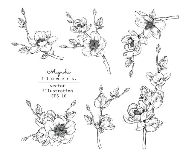 Flower clip art stock illustrations royalty