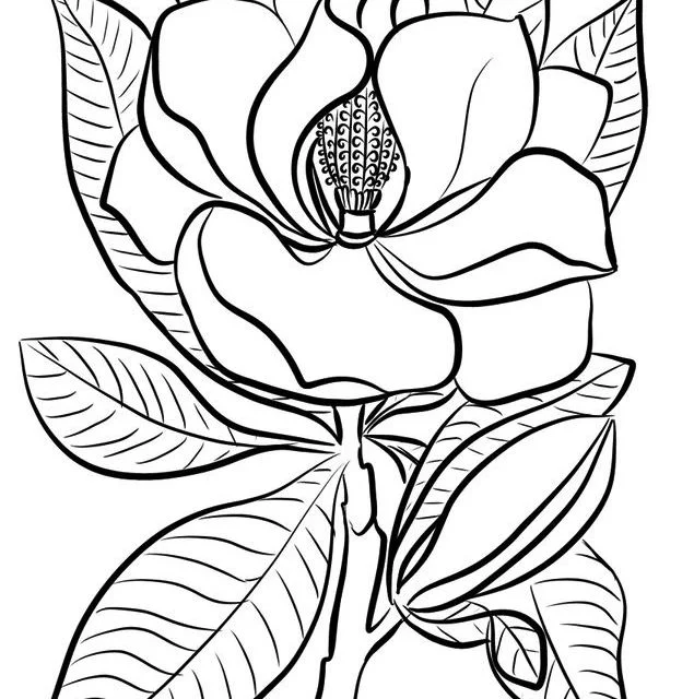 Coloring pages magnolia printable for kids adults free to download