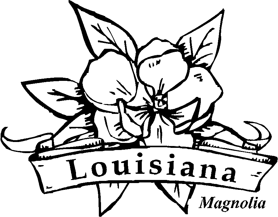 Magnolia coloring pages