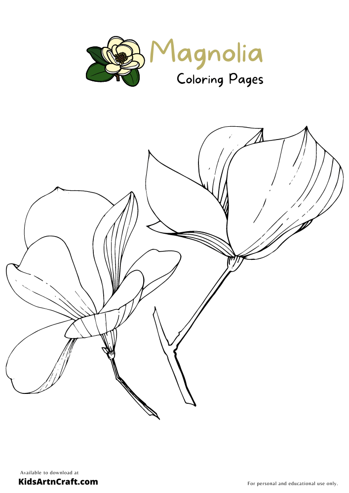 Magnolia coloring pages for kids â free printables