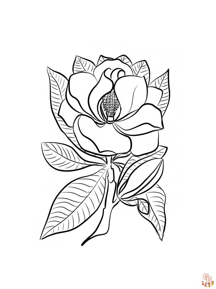 Magnolia coloring pages