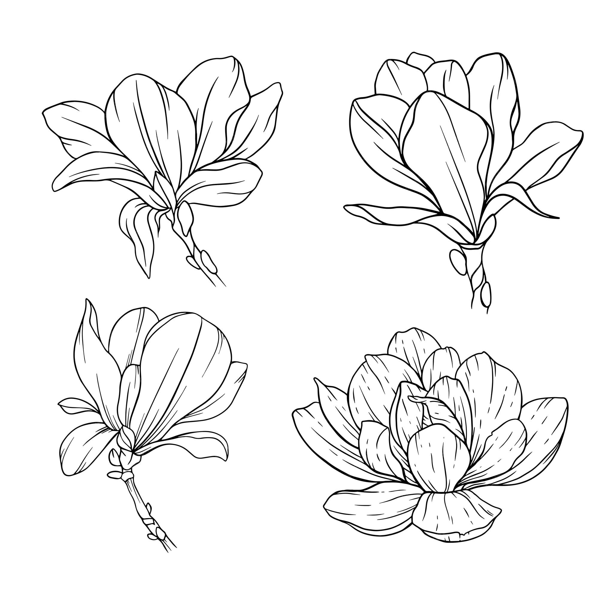 Premium vector magnolia flower line art floral coloring page outline flowers