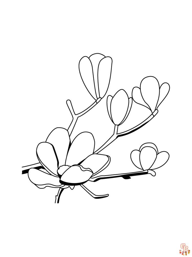 Magnolia coloring pages