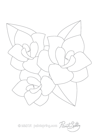 Printable flower adult coloring book get free pages