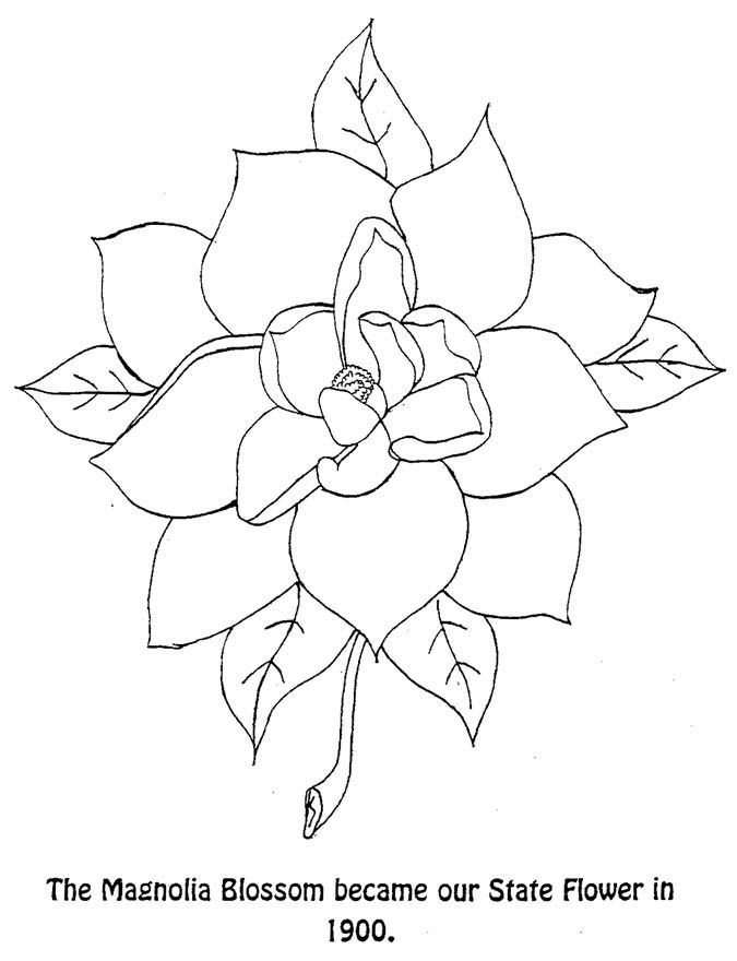 Magnolia coloring pages