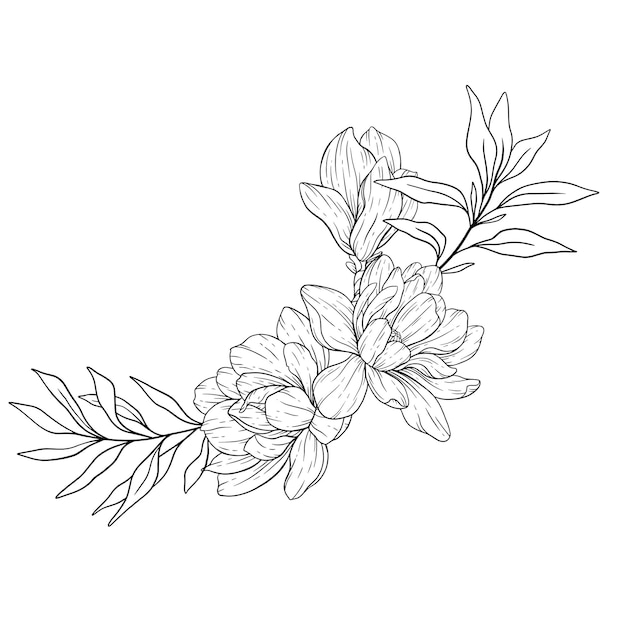 Premium vector magnolia flower line art floral coloring page outline flowers