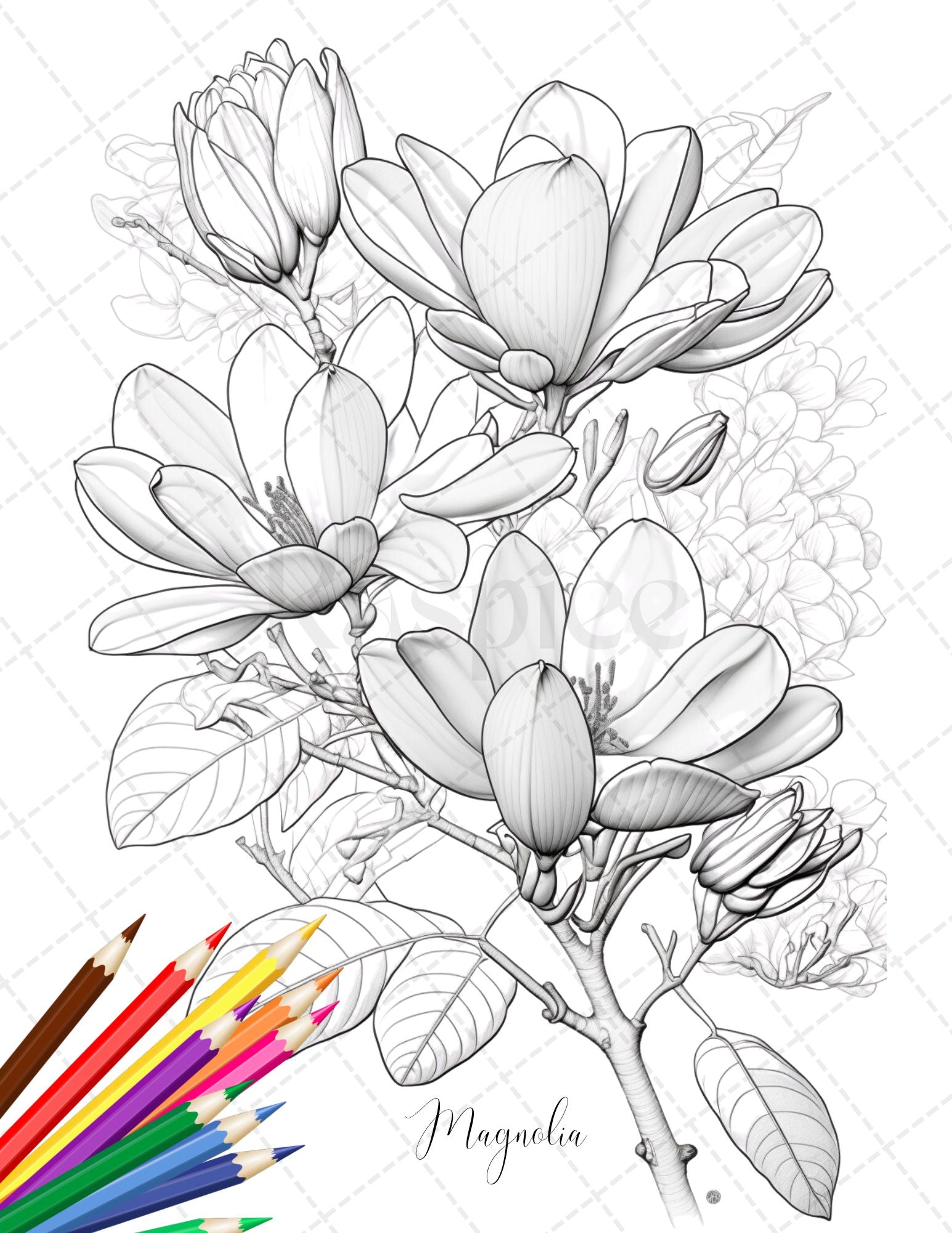 Botanical flowers printable coloring pages for adults floral grays â coloring