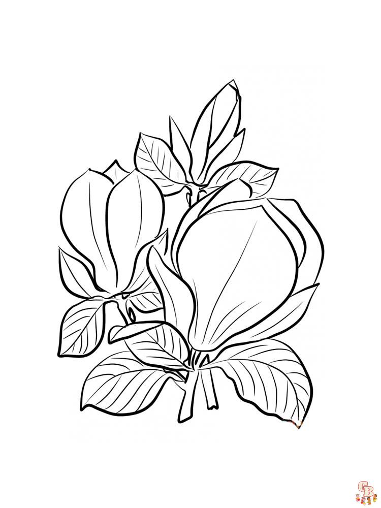 Magnolia coloring pages