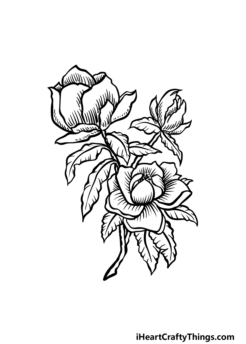 Magnolia flower drawing