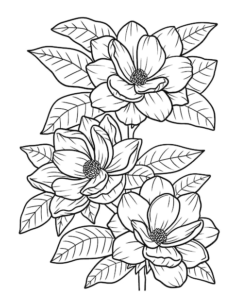 Premium vector magnolia flower coloring page for adults