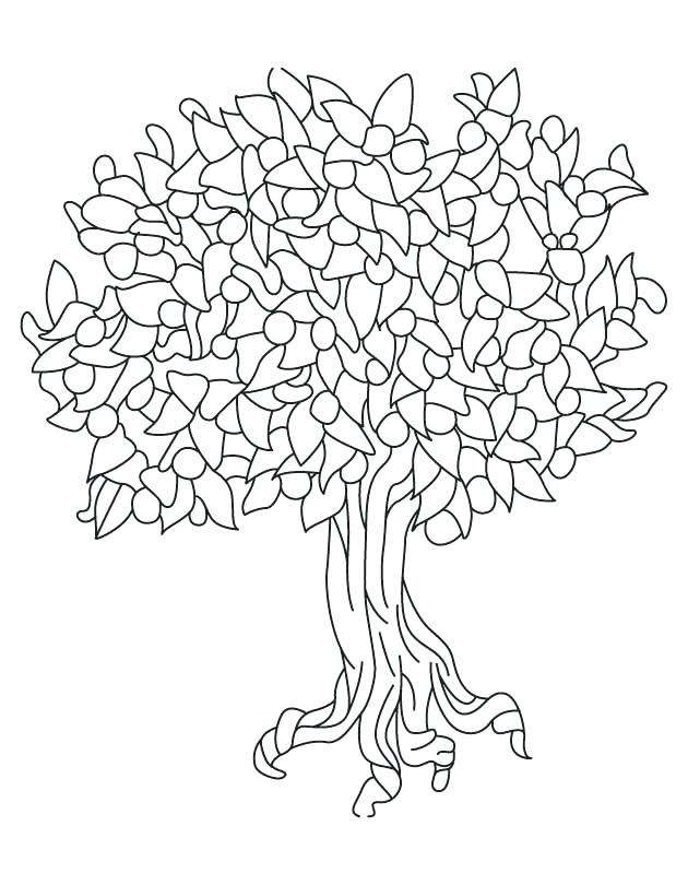 Magnolia coloring pages