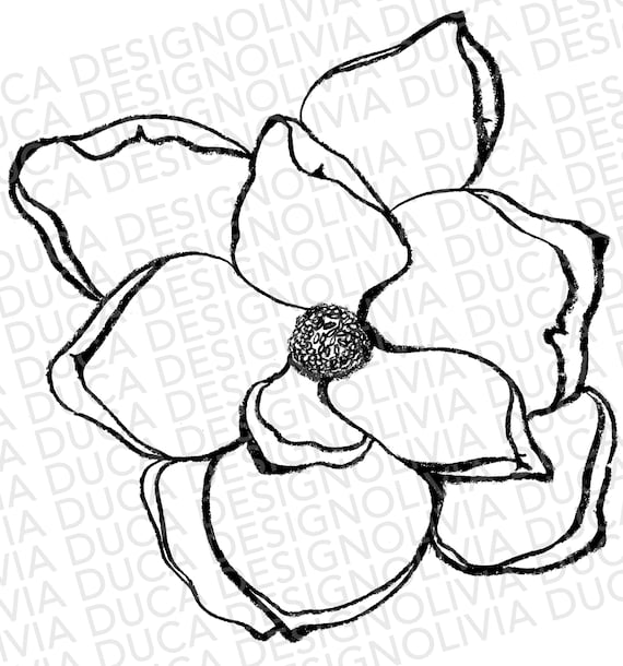 Magnolia sketch clipart illustration transparent background png download now