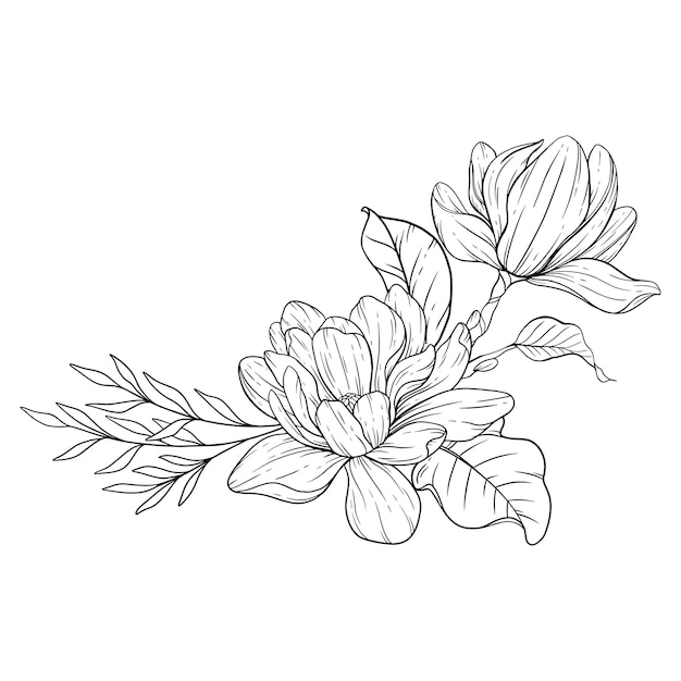 Premium vector magnolia flower line art floral coloring page outline flowers