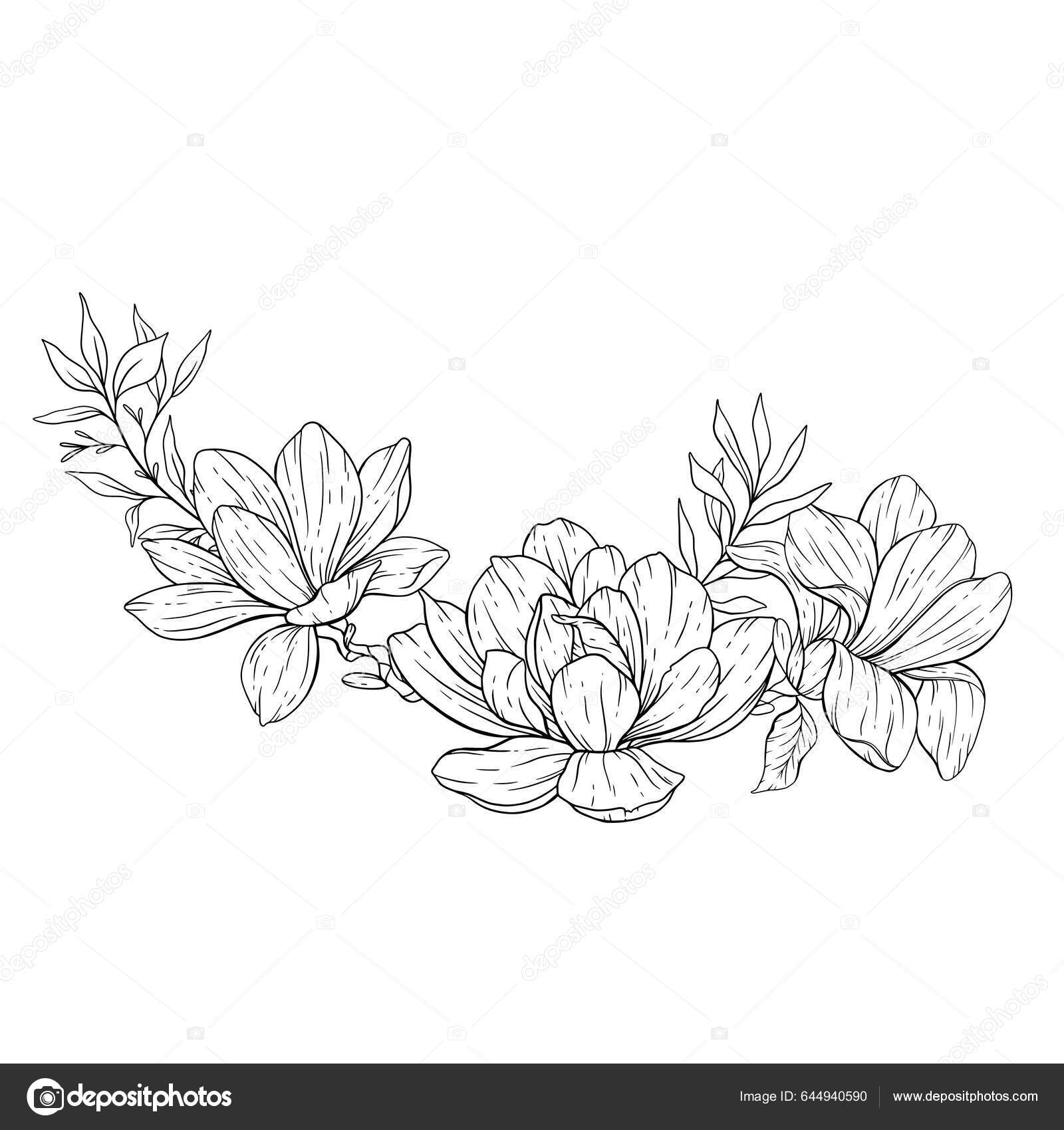 Floral line art magnolia flower outline floral coloring pages minimalist stock vector by caraulanart