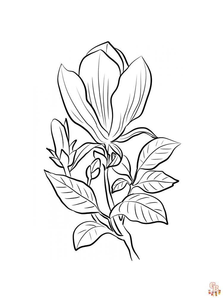 Magnolia coloring pages