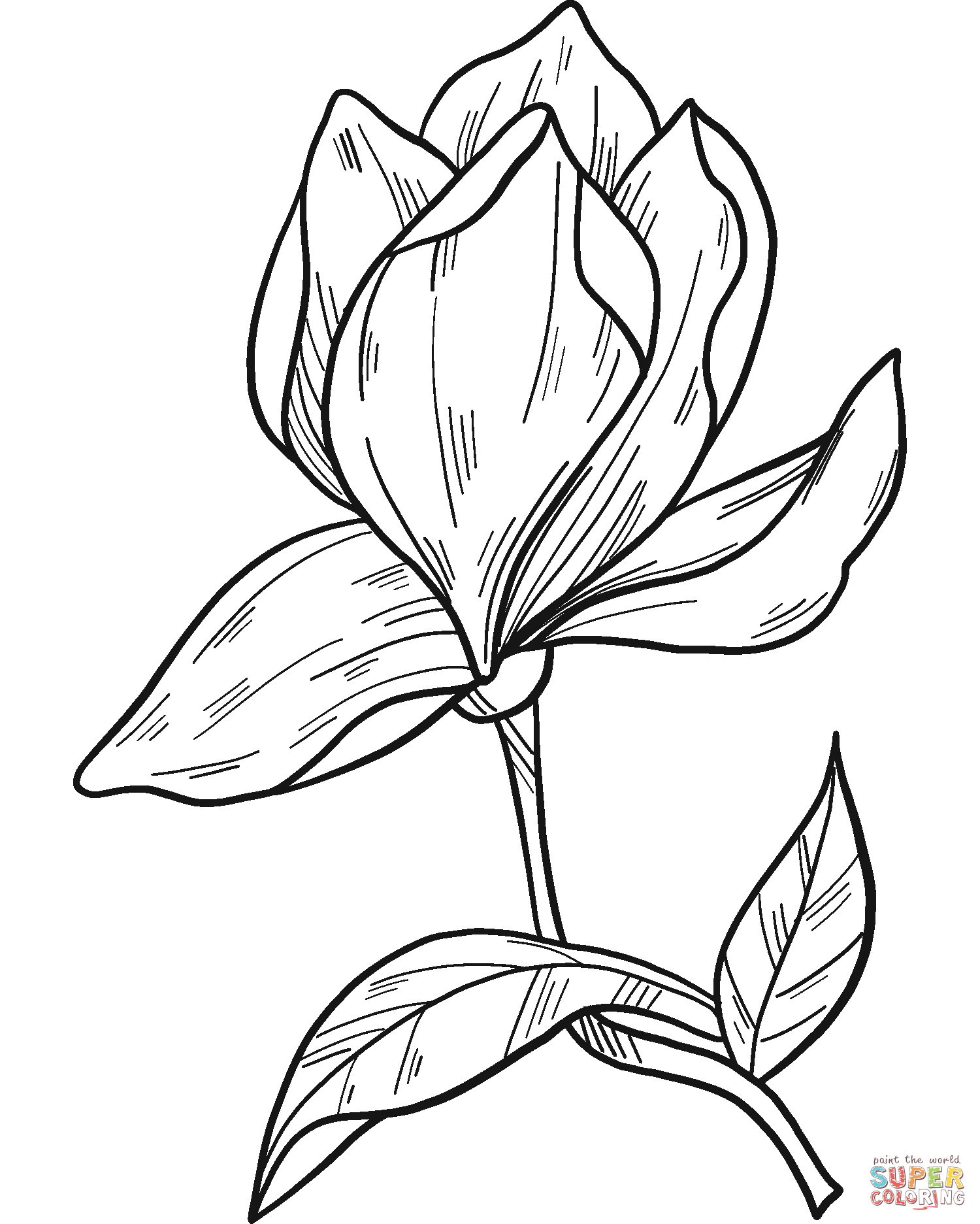 Magnolia flower coloring page free printable coloring pages