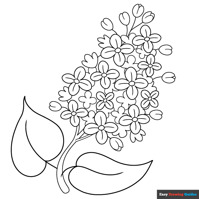 Free printable flower coloring pages for kids