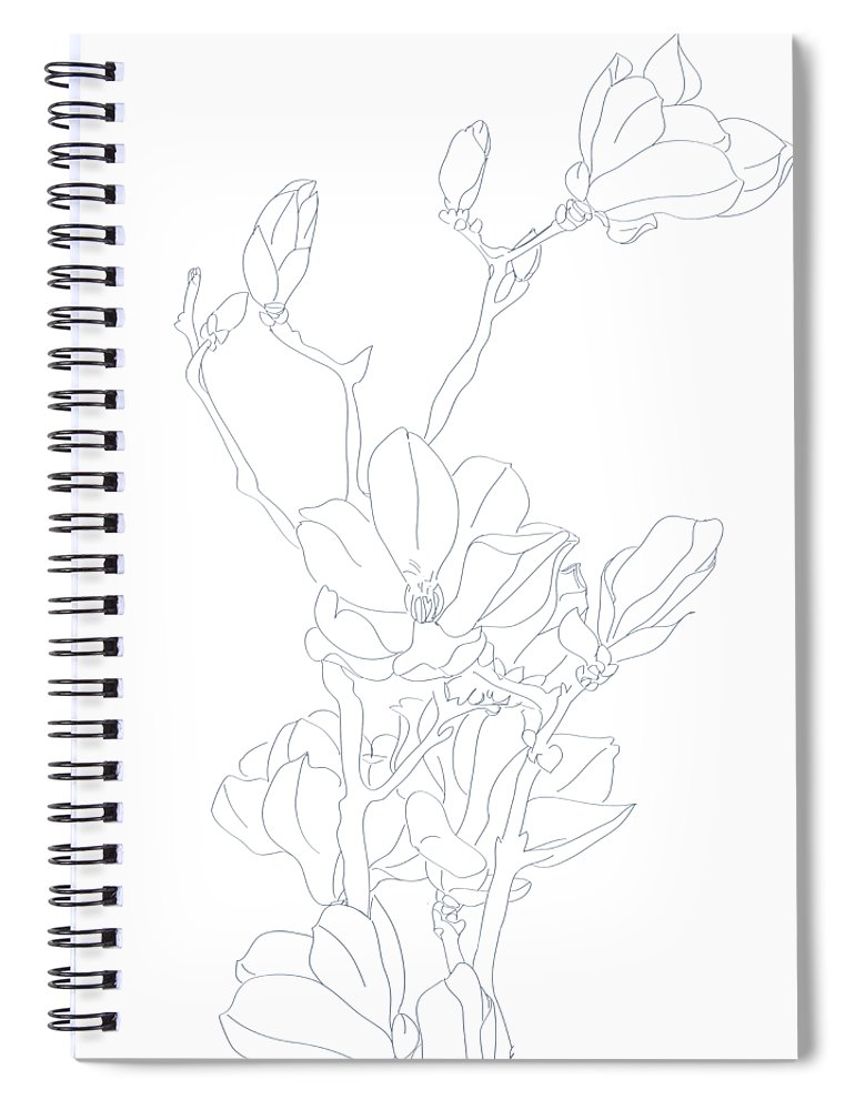 Magnolia flower line drawing spiral notebook by color color