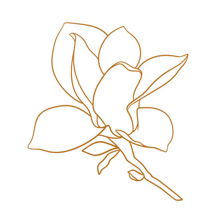 Magnolia flower with branch thin line drawing on white background floral vector sketch in gold color trendy style minimalist art illustration for wedding invitation greeting card coloring book ù ùùø øªøµù ùù ù