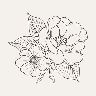 Magnolia coloring page vectors illustrations for free download