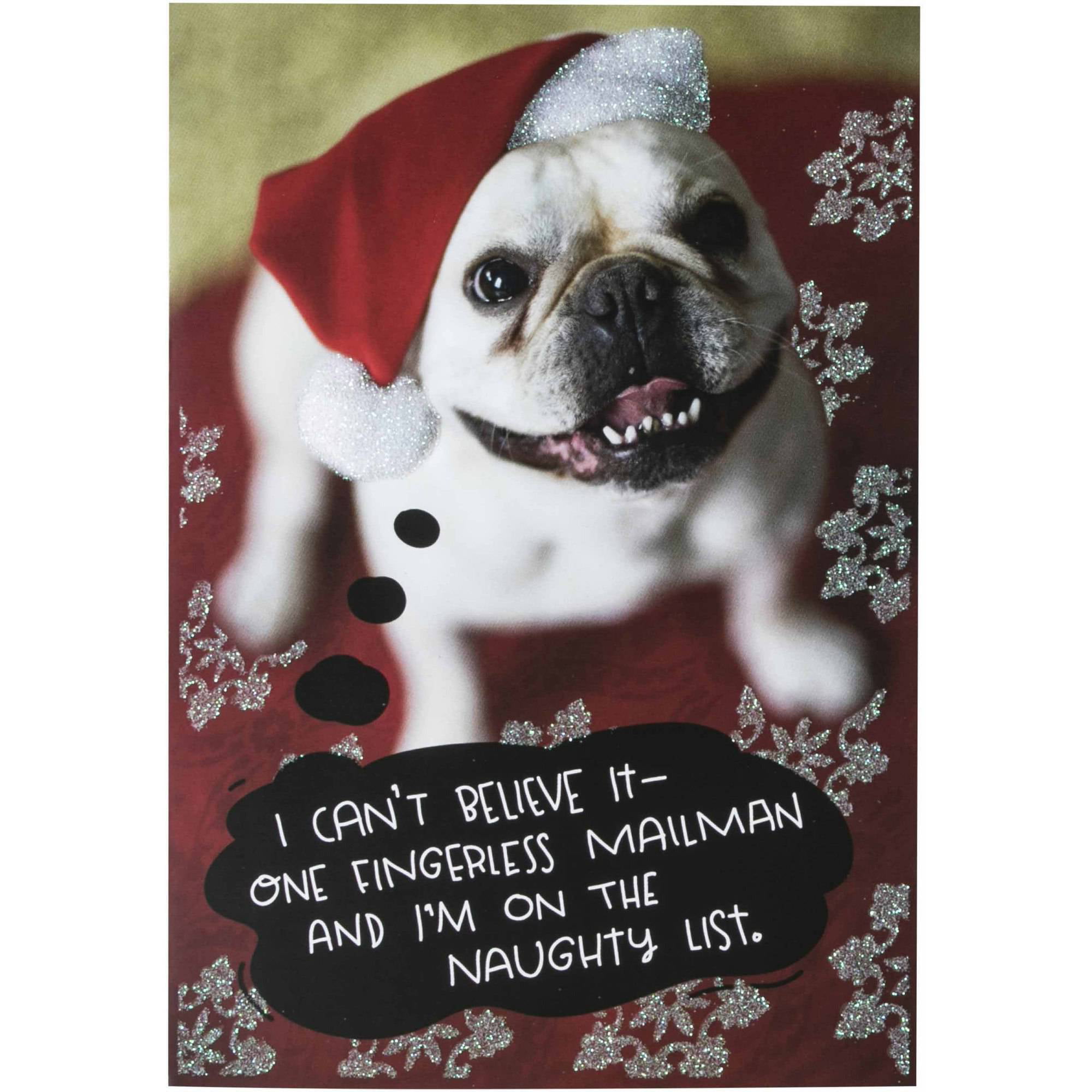 Hallmark mailman dog christmas boxed cards