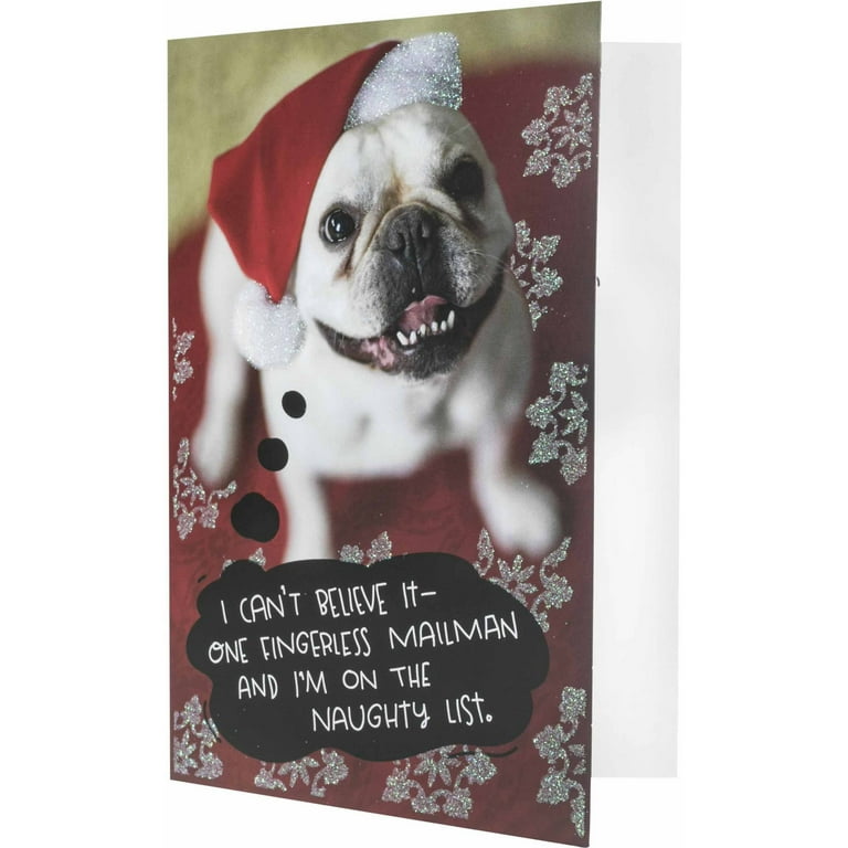 Hallmark mailman dog christmas boxed cards