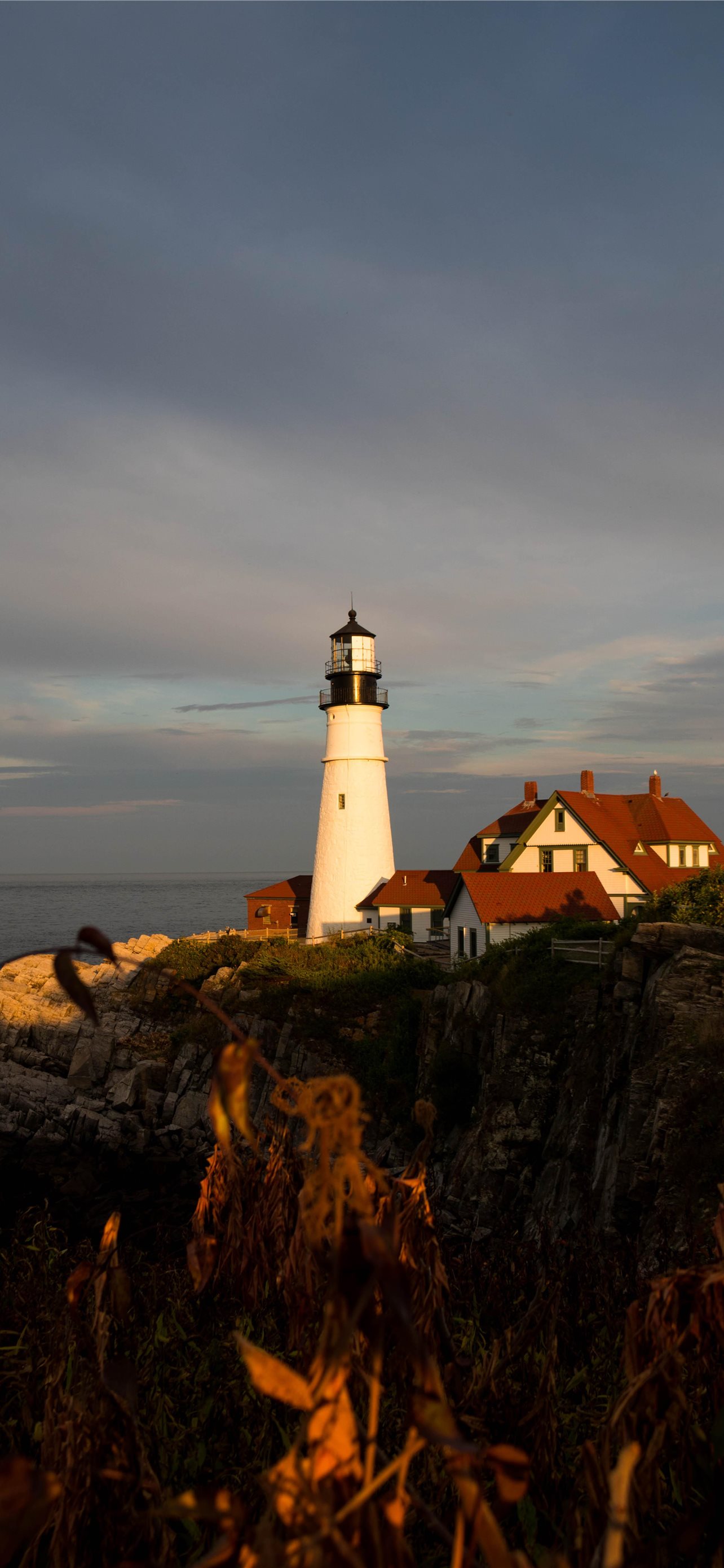 Download Free 100 + maine Wallpapers