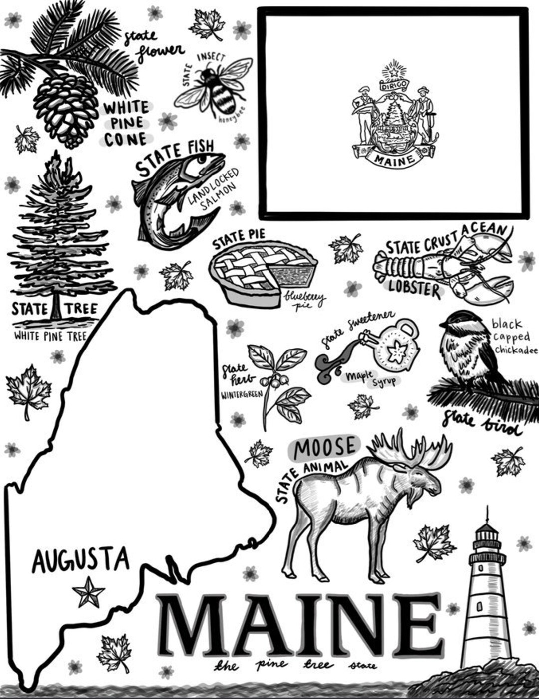 Maine coloring page