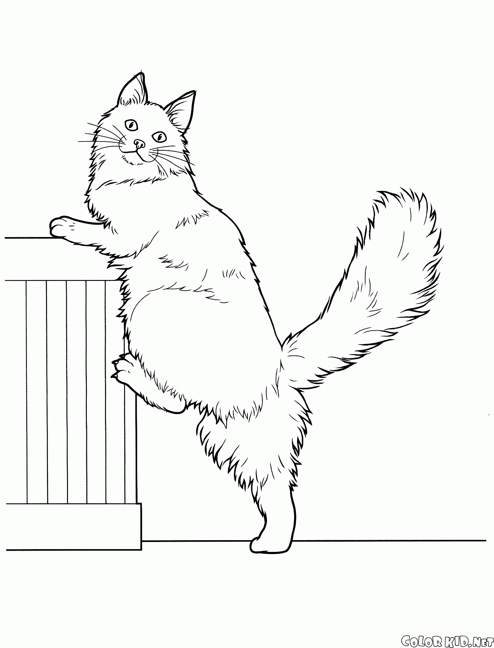 Coloring page