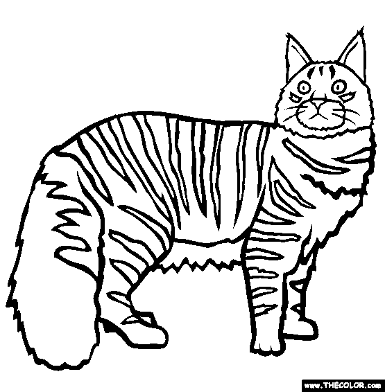 Cats online coloring pages