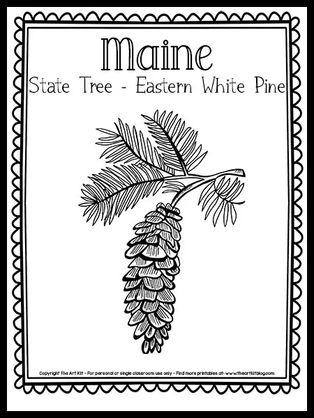 Maine state tree coloring page eastern white pine free printable â the art kit