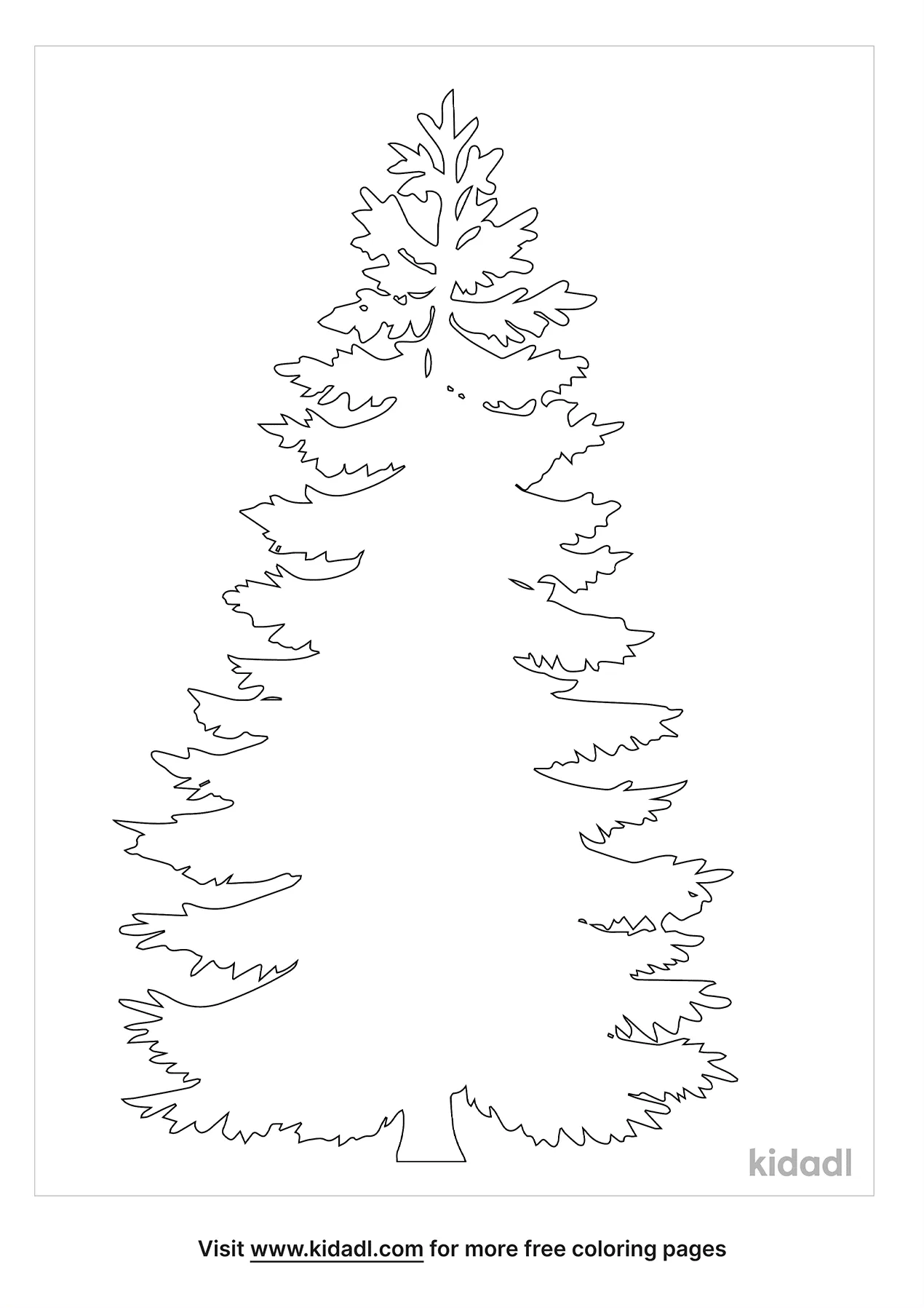 Free maine state tree coloring page coloring page printables