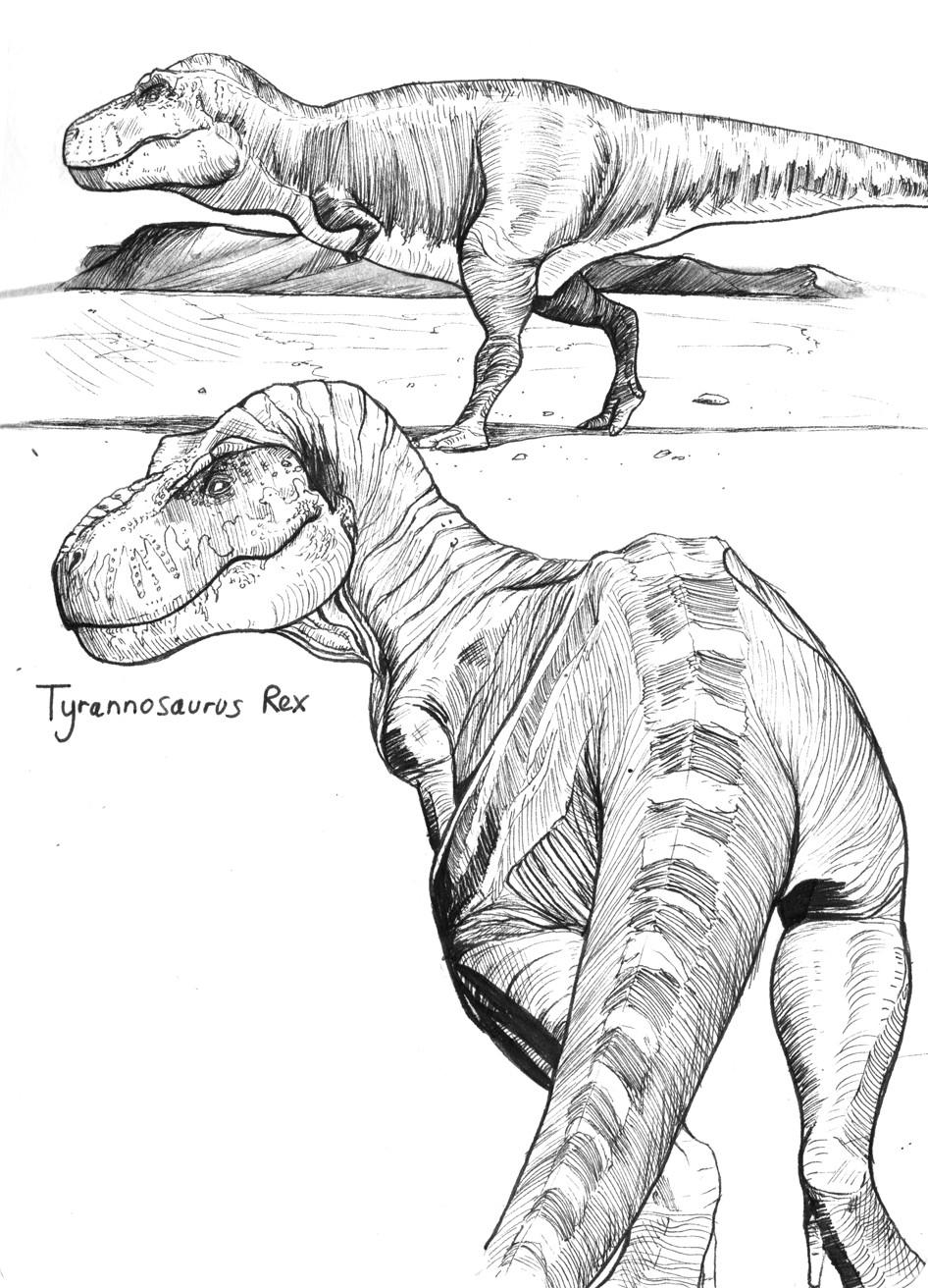 Hello i wanted to share some of my dinosaur drawings carno is my fav rdinosaurs