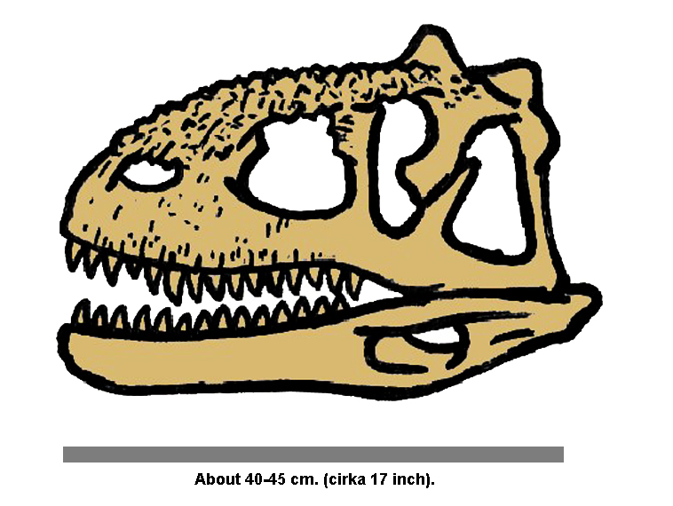 Filemajungasaurus skull jpg