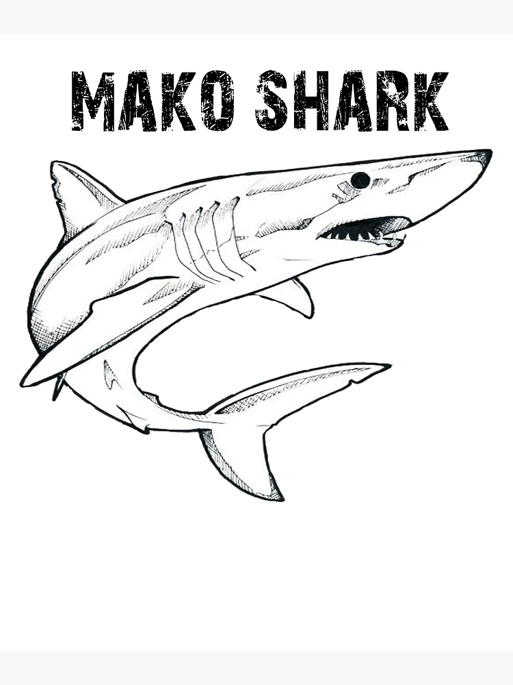 Mako shark shirt