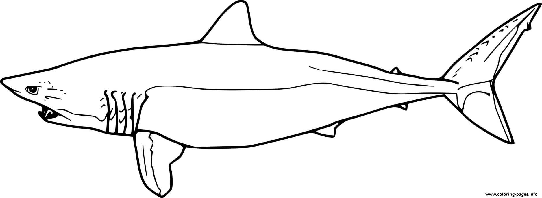Shortfin mako shark coloring page printable