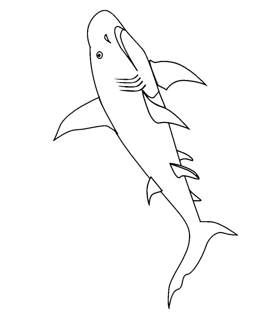 Top shark coloring pages for your little ones