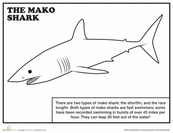 Mako shark worksheet education shark coloring pages shark shark week