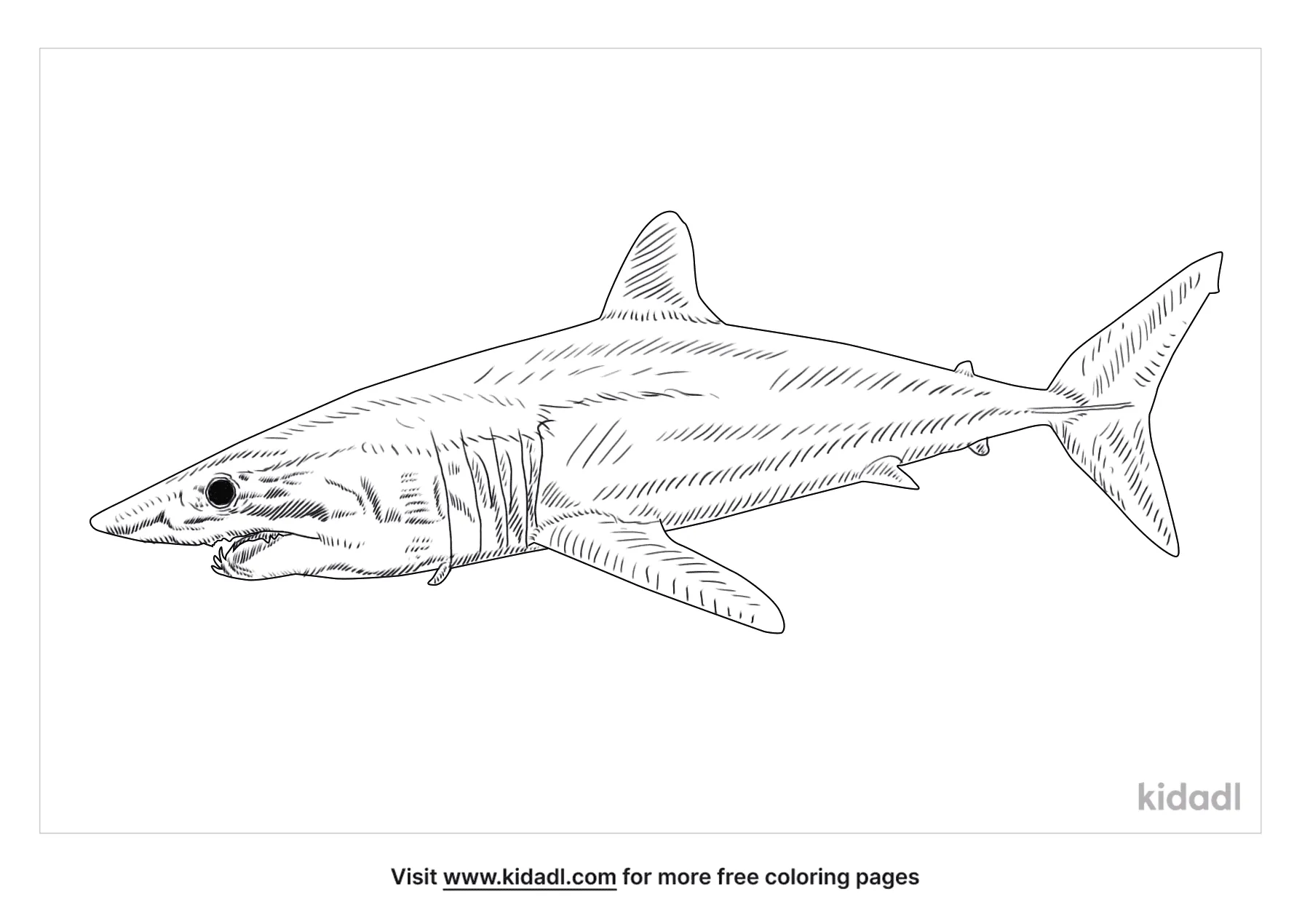 Free shortfin mako shark coloring page coloring page printables