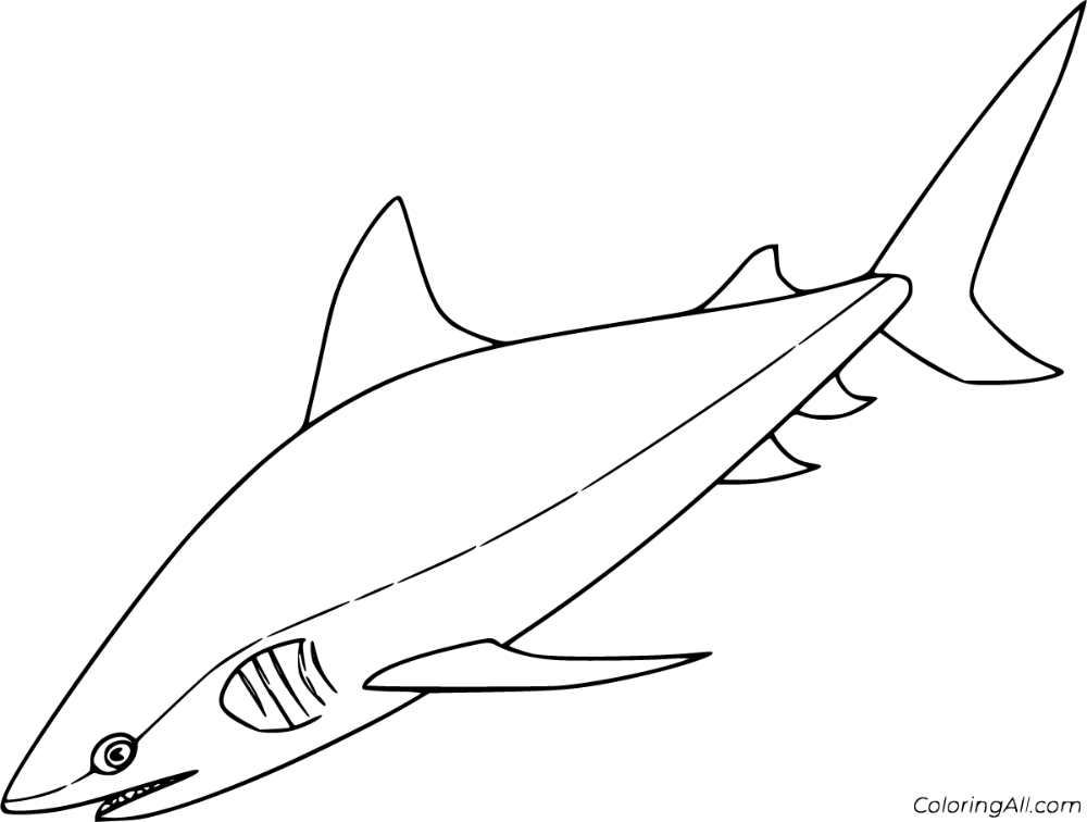 Free printable mako shark coloring pages in vector format easy to print from any device and automaticâ shark coloring pages coloring pages fish coloring page