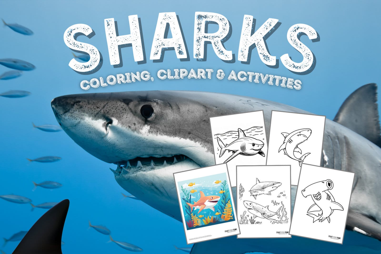 Shark clipart coloring pages dive into a sea of fun and creativity with these learning activities at