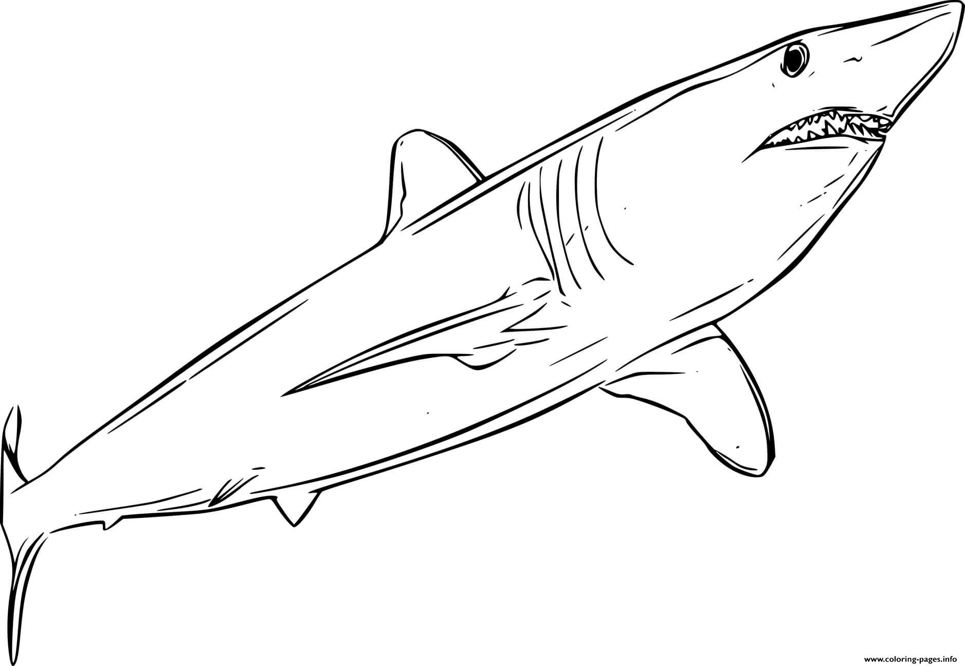 Swimming shortfin mako shark coloring page printable