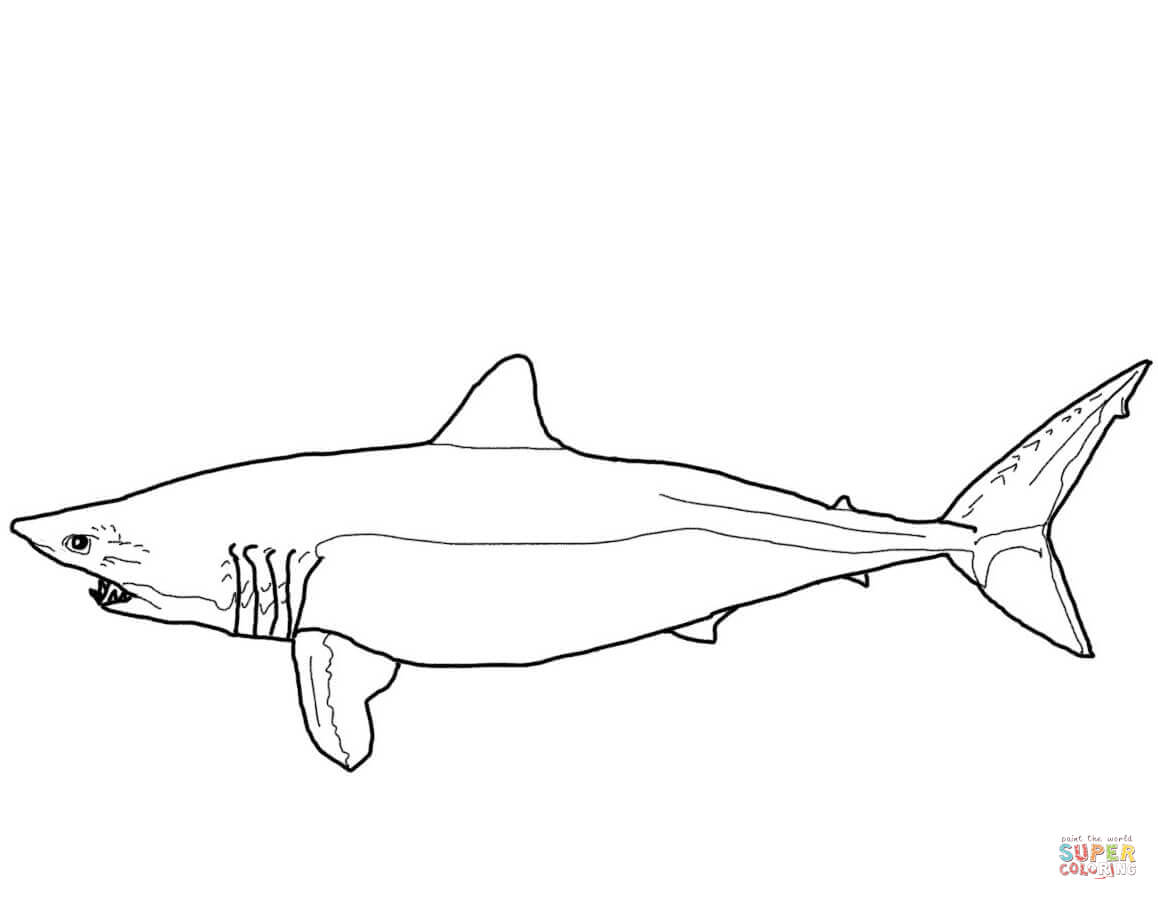 Mako shark coloring page free printable coloring pages