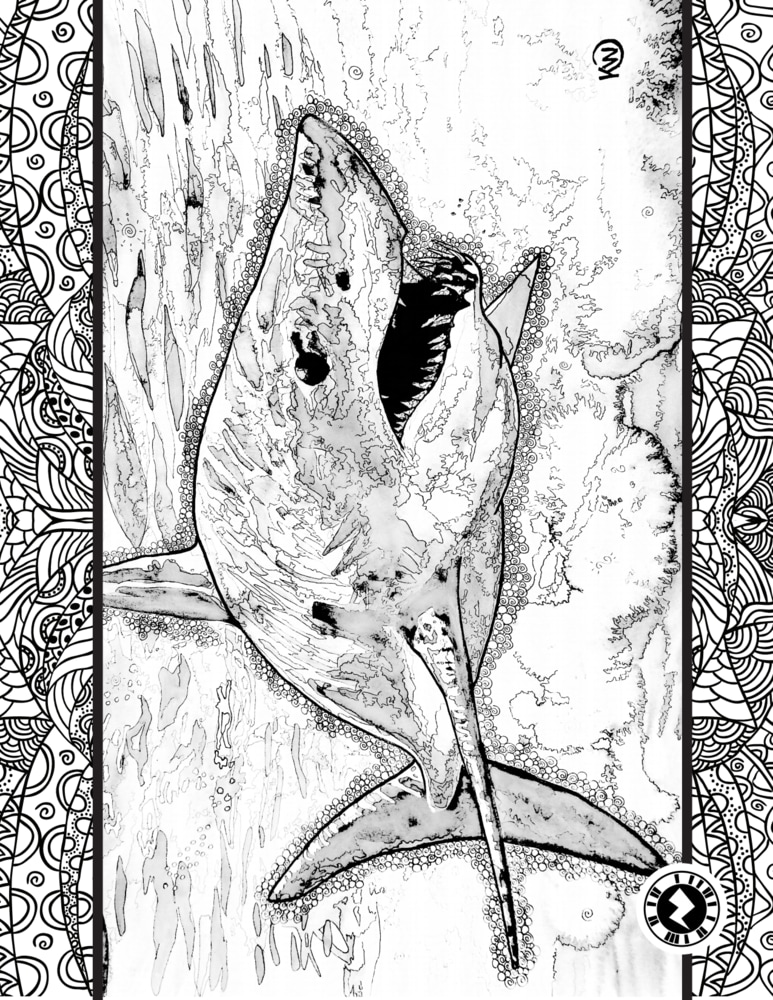 Mako shark coloring page waterink studios