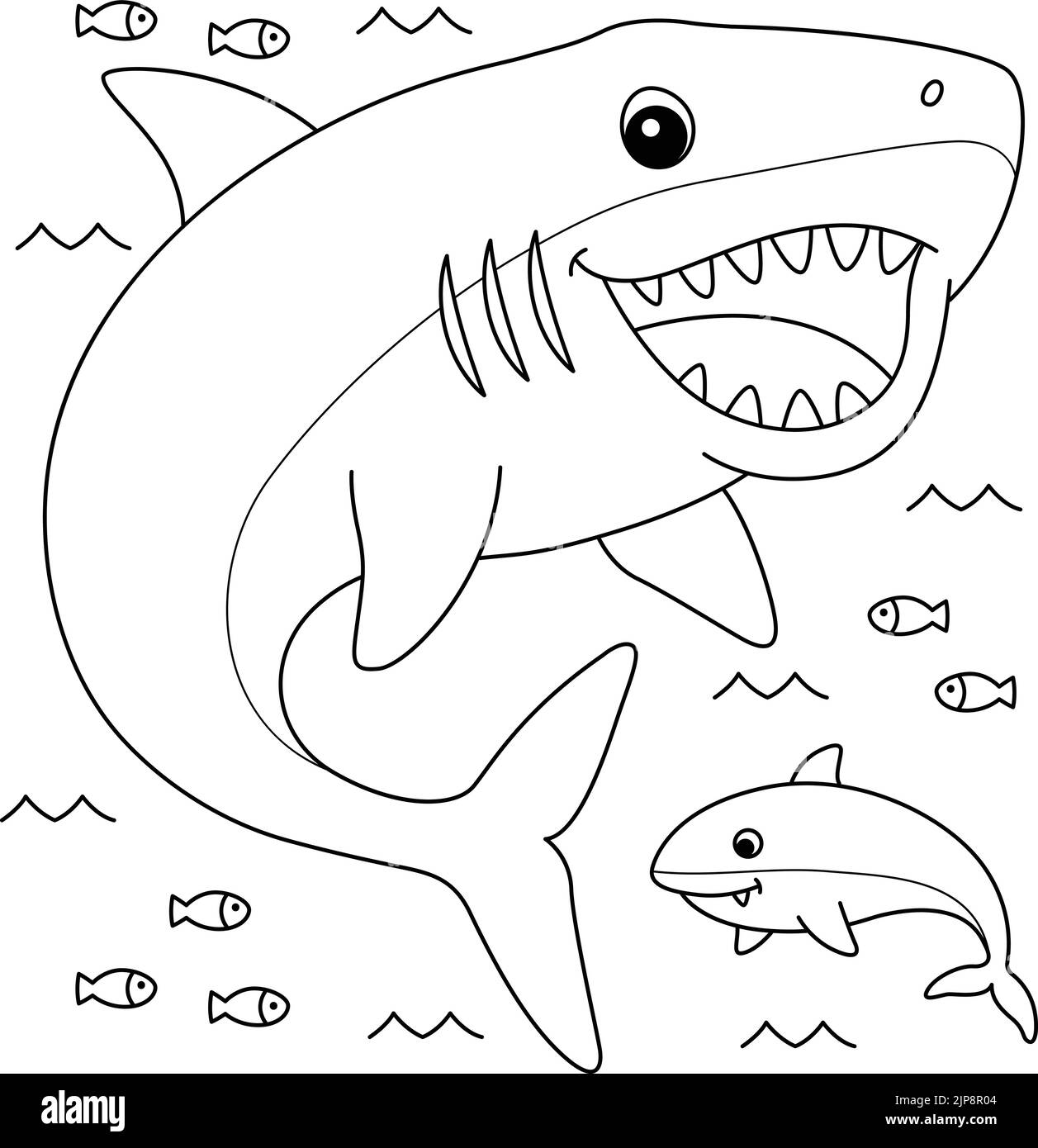 Megalodon black and white stock photos images