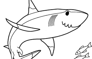 Coloring pages games