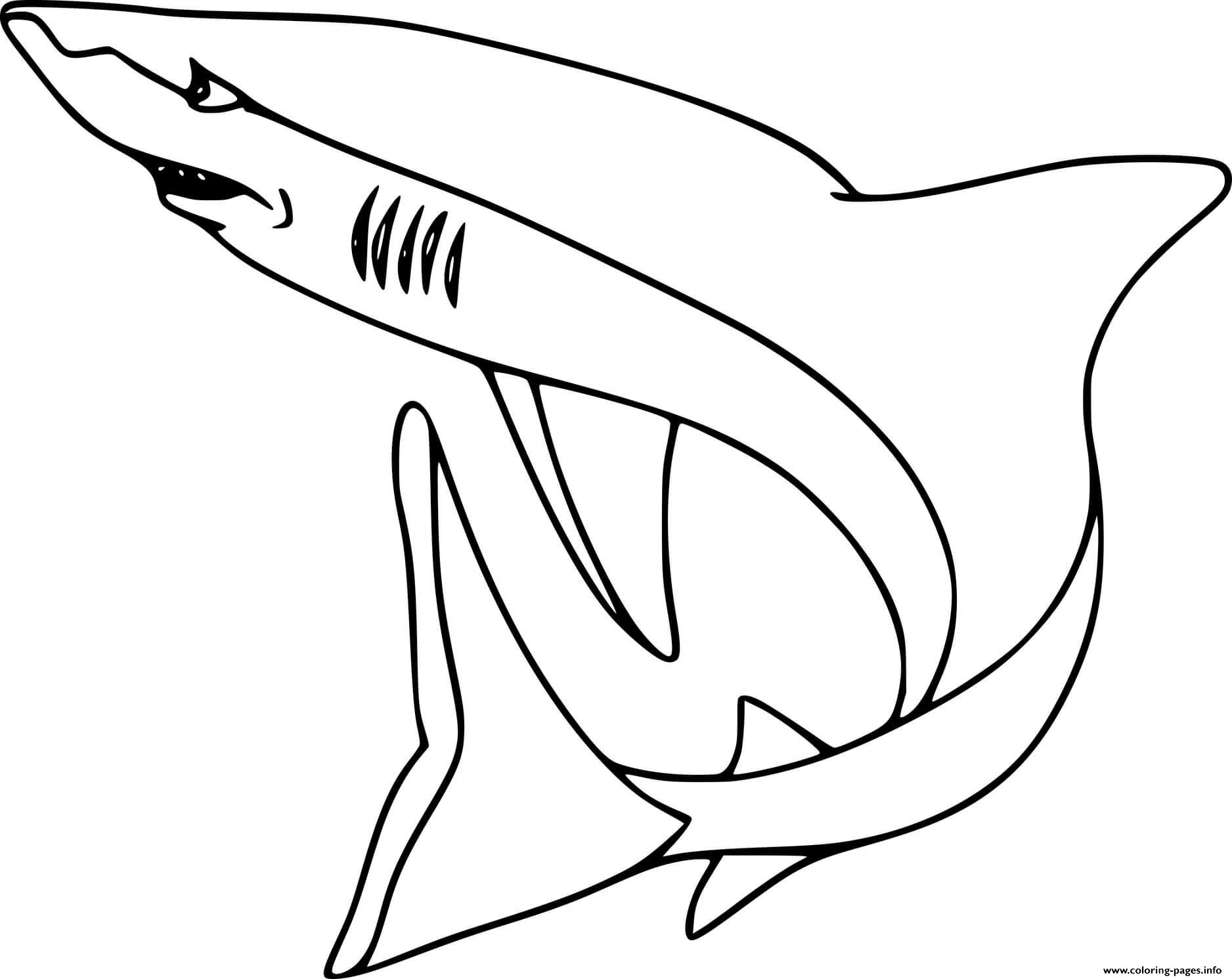 Easy mako shark coloring page printable