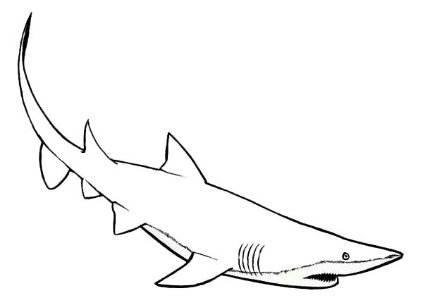 Mako shark the faster swimmer of all coloring page kids play color