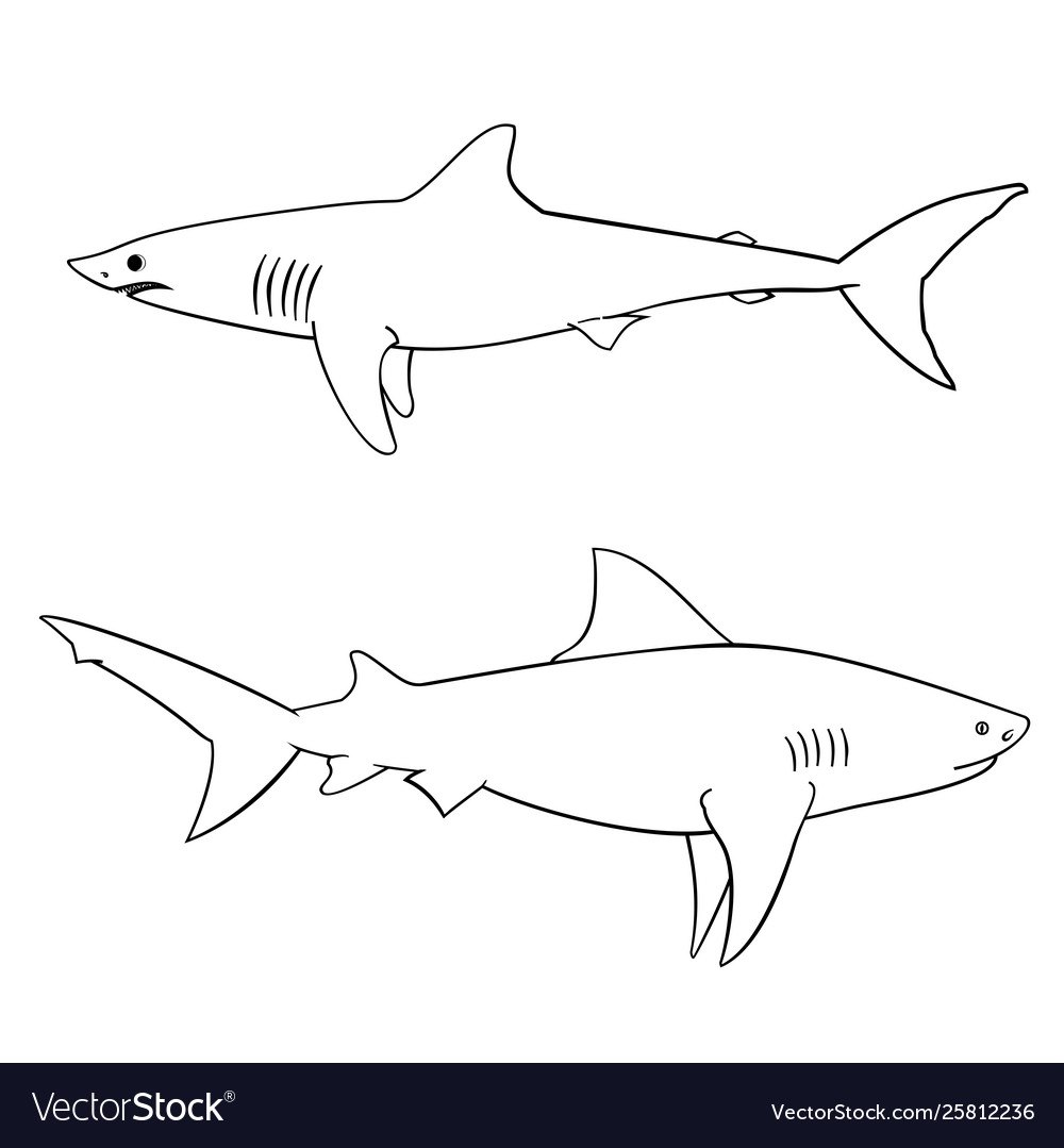 Coloring book for children sharks royalty free vector image